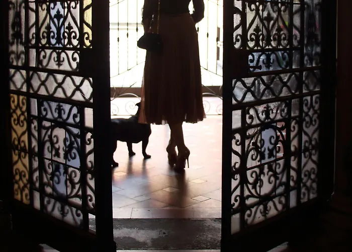 Piazza Pitti Palace - Residenza D'epoca